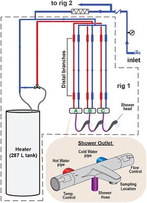 The benefits of flushing for mitigating Legionella spp. in non-chlorinated building plumbing systems